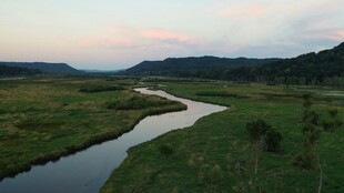 蜿蜒河流穿绿野