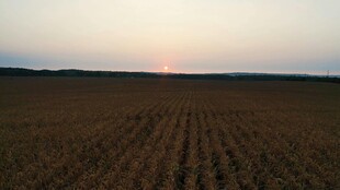 夕阳下的广袤农田