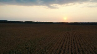 夕阳下的广袤农田