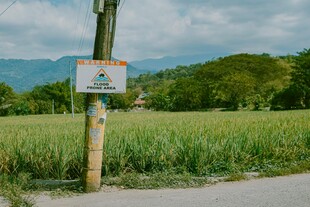 田野旁的木质指示牌