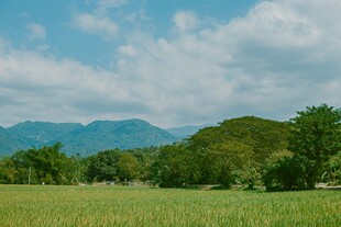 绿野青山间的自然美景