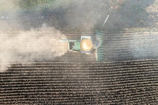 农田里 割机正在作业