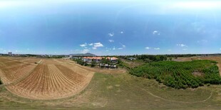 田野麦堆风光