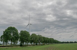 田野风车与绿树的景致