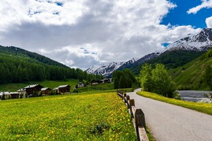 山间绿野中的宁静小路