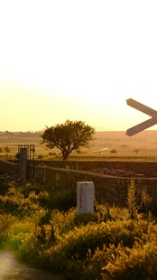 夕阳下的田野与古老围栏