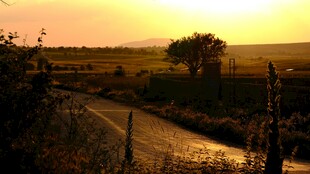 夕阳下的乡村小路
