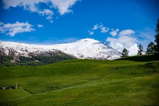 雪山下的翠绿草原风光