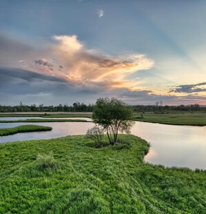 湖畔绿野夕阳美景