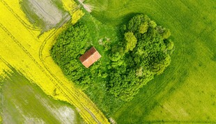 心形绿地中的小屋