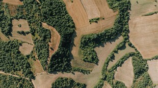 空中俯瞰多彩农田景观