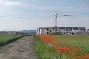 田野旁在建房屋与绚烂花丛