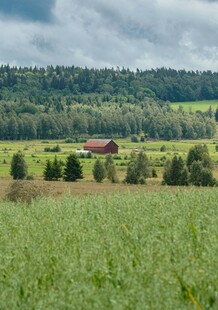 田园风光中的红顶小屋