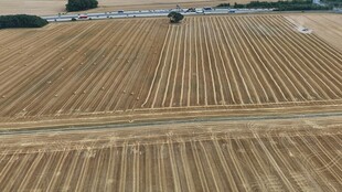 金黄麦田俯瞰图