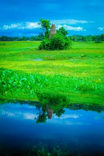 田园风光中的静谧小屋
