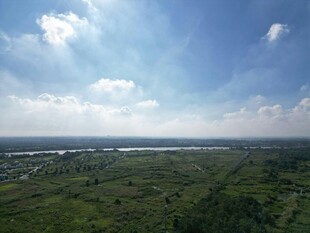 广袤绿野上的蓝天白云