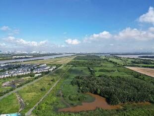 广袤田野与蓝天相映成趣