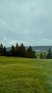 广袤草原与远处林木景观