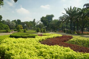城市中的多彩园林景观
