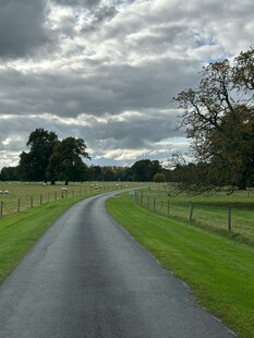 乡村蜿蜒公路 绿意盎然