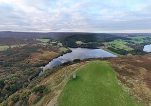 俯瞰美丽的湖泊与绿地