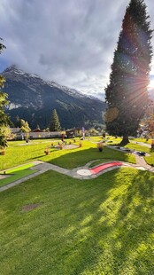 阳光照耀下的户外休闲草地