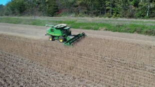 田野上的绿色农业 割机