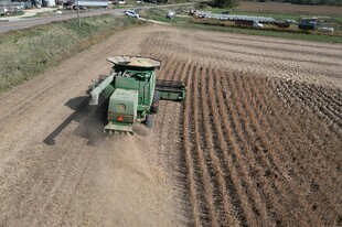 农田中的绿色 割机作业