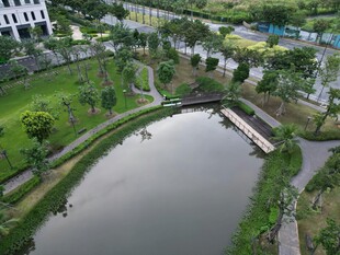 校园内的静谧池塘景观