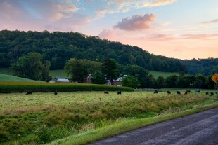乡村公路边的美丽黄昏景色