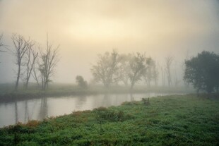 晨雾中的河畔风光