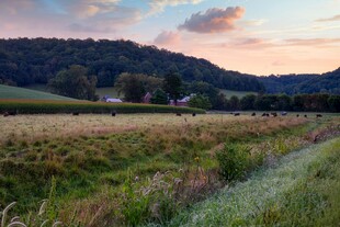 黄昏下的田野风光