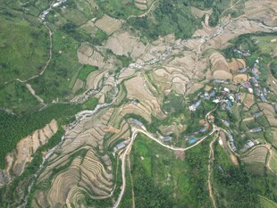 俯瞰山间蜿蜒梯田美景