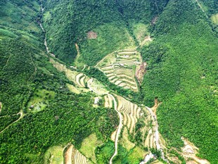 山间蜿蜒公路与翠绿梯田