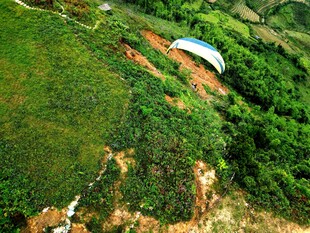 山间绿地中的白色建筑