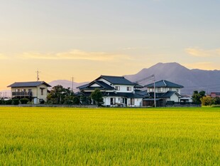 田园风光中的房屋与远山