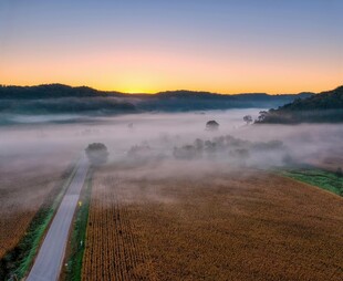 晨雾中的田野与霞光美景