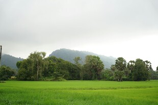绿野青山间的自然景致