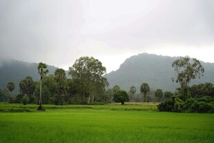 绿野山林间的自然美景