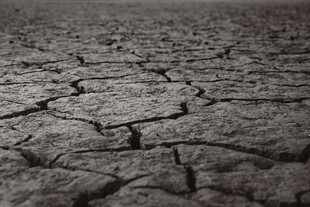 干裂土地景象
