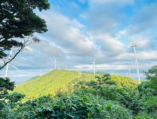 青山之上的电力设施景观