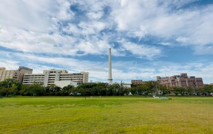 城市绿地与远处建筑景观