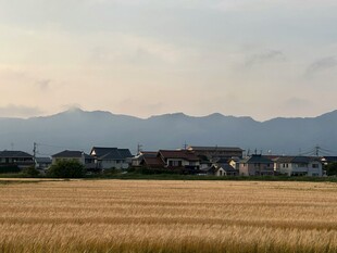 田野村庄与远山美景