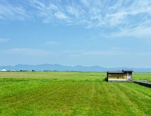 草原上的小屋与蓝天美景