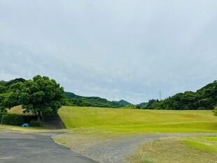 开阔绿野与蜿蜒道路景观