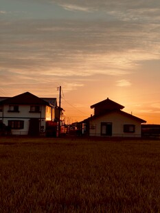夕阳下田野边的温馨 居