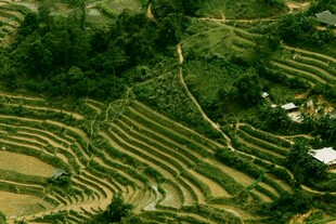 俯瞰美丽壮观的山间梯田