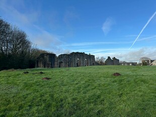 广阔绿草地与远处建筑