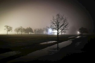 雾中夜景 孤树静立