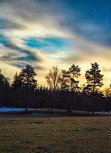 黄昏时分的森林与天空景色
